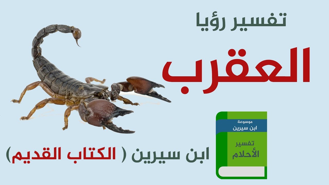 العقارب في المنام لابن سيرين , التفسير ده غيراللي عرفينه خالص