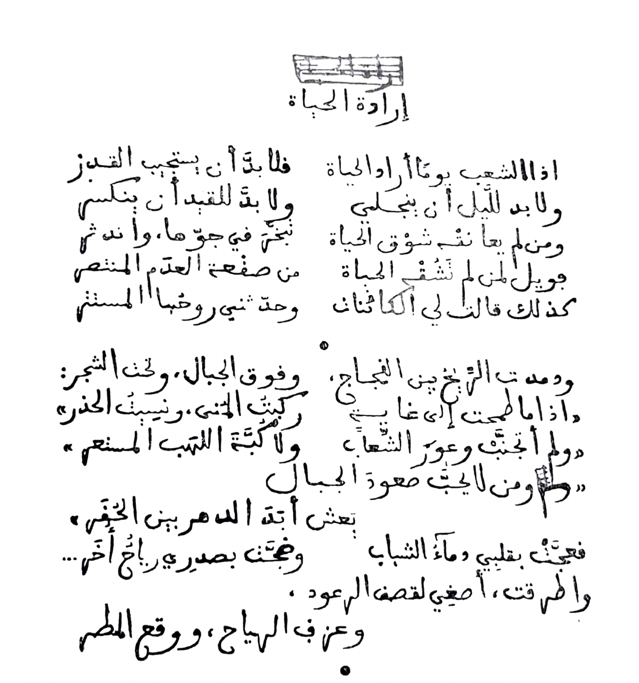 اجمل شعر في العالم 4874