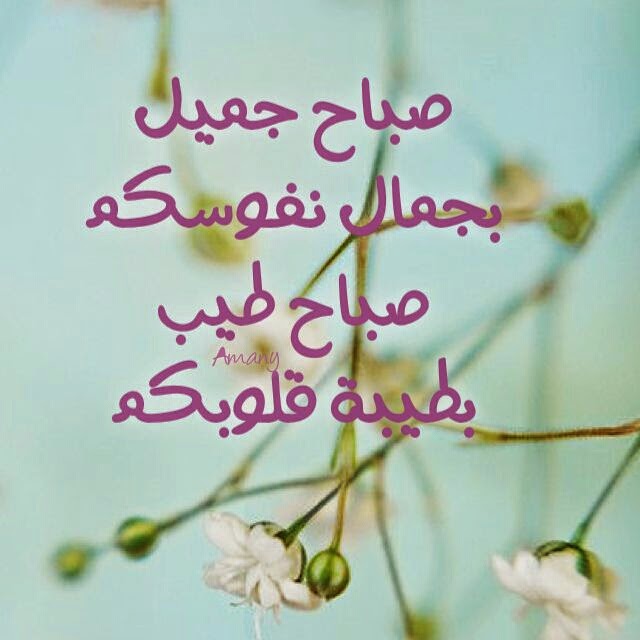 صباح نور - اروع صور صباح النور 3730 7