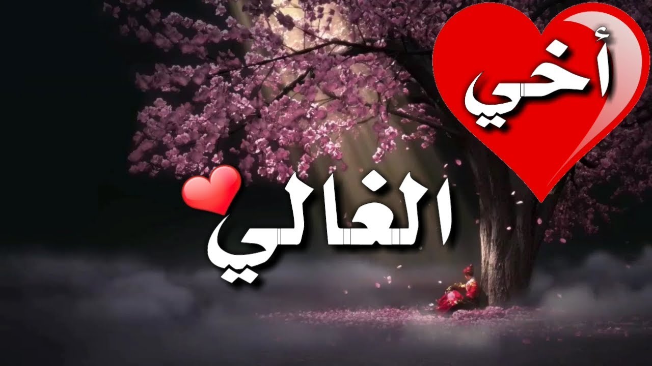 مسجات عن الاخ- أجمل مسجات ممكن تسعد اخوك 11030 14