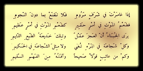 شعر هجاء - اجمل اشعار فالهجاء 164 7