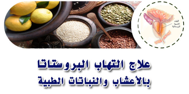 علاج البروستاتا بالاعشاب - البروستاتا وعلاجها بطرق طبيعيه 3670 2