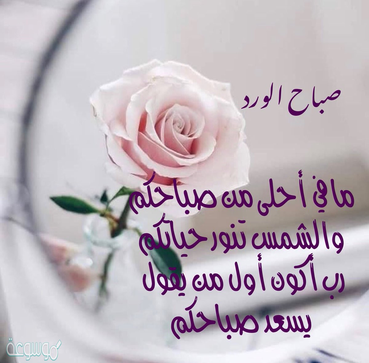 صباح الحب والشوق 5712 3