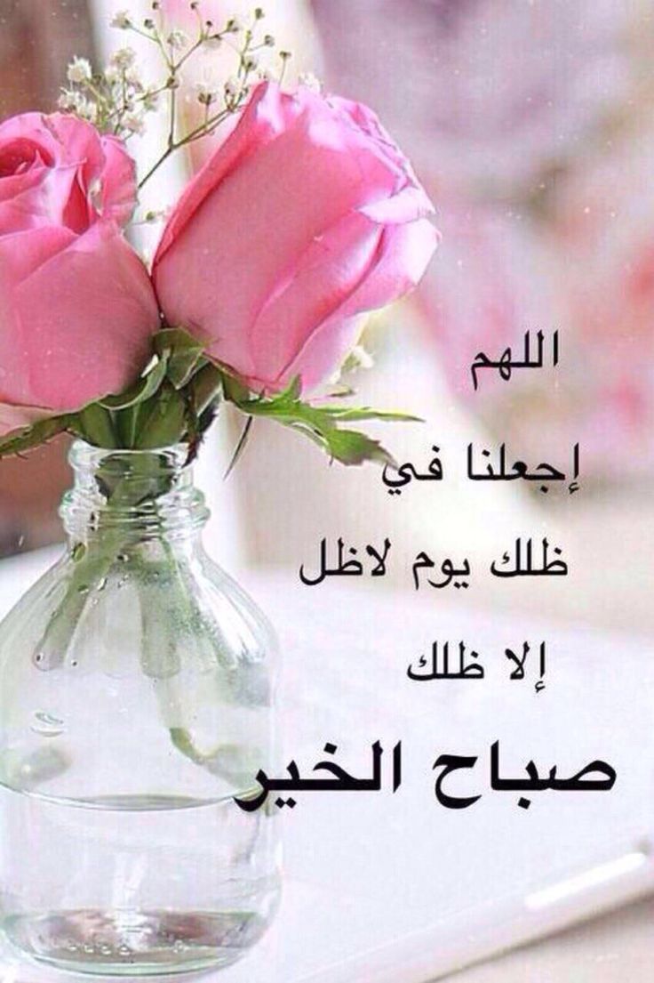 صور صباحيه للحبيب - اروع الرسائل الصباحية 3437 6