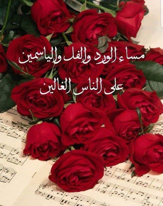 مساء العسل علي الناس العسل رسائل مساء الخير 3961 3