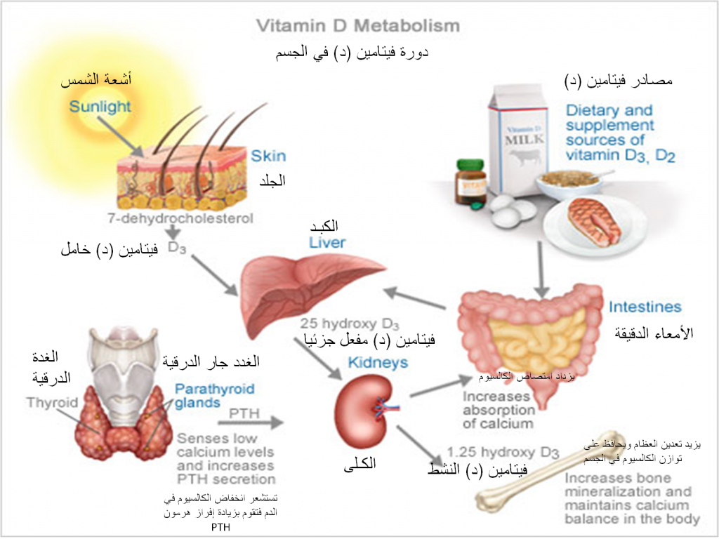 ماهي اعراض نقص فيتامين د - فائدة فيتامين د واعراض نقصه 3454