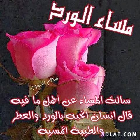 احلي مساء علي الناس اللي بحبهم مساء المحبه 3961 1