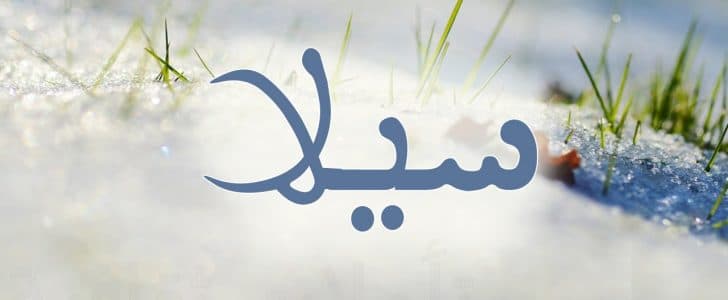 معنى اسم سيلا - والحكم فى تسميته 5697 6