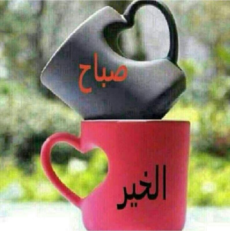 صور منوعات - صور مختلفه جديده وغريبه 6600 6