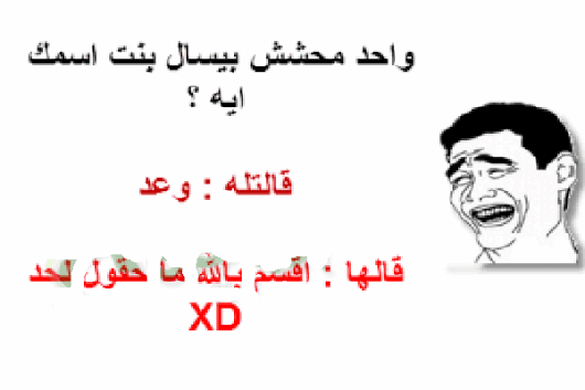 نكت مضحكة اوي اوي اجمل نكت محششين