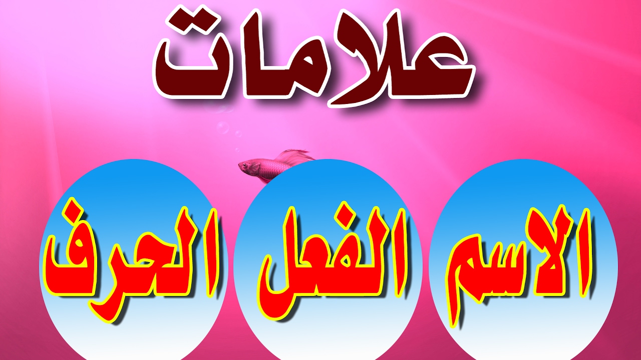 علامات الاسم والفعل والحرف , ما هي علامات الجمله