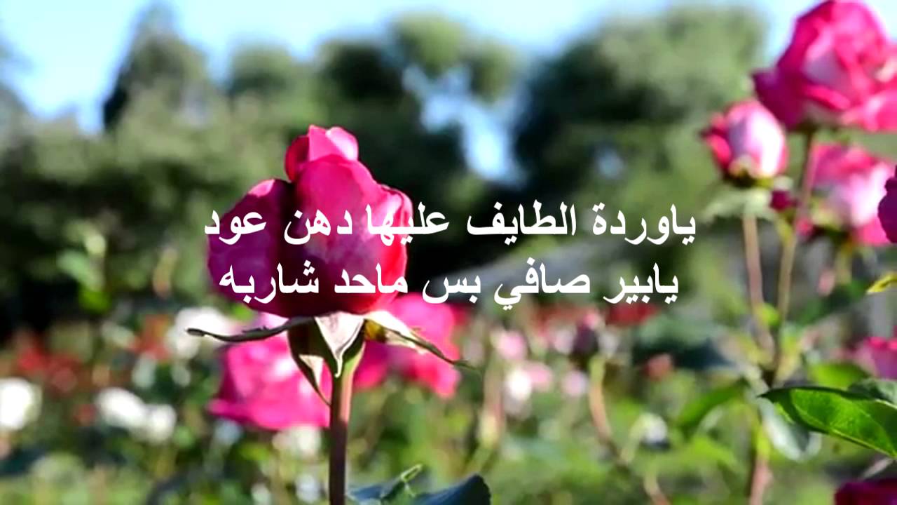 قصائد للواتس اب - حالات اشعار واتس اب 12360 11