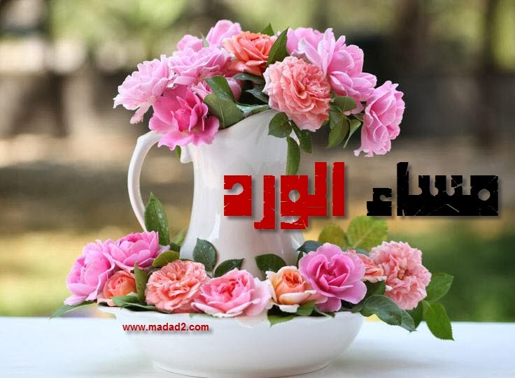 صور مساء النور - احلي صور مسائية تحمل اجمل العبارات 6477 3