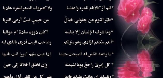 ابيات شعرية عن الحب - اجمل شعر عن الحب 3277 11