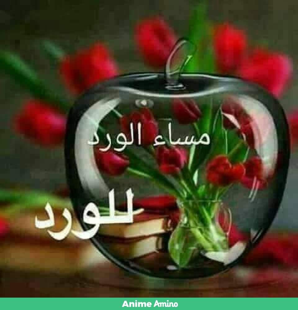 مساء المحبة 5930 4