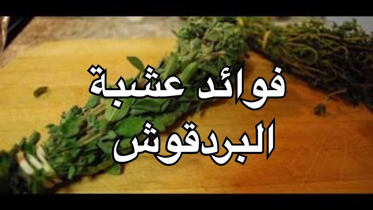 فوائد البردقوش - القيمه الصحيه والفوائد العلاجيه 1069