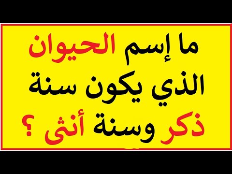 الغاز صعبة جدا وحلها- شغل دماغك معنا 6183