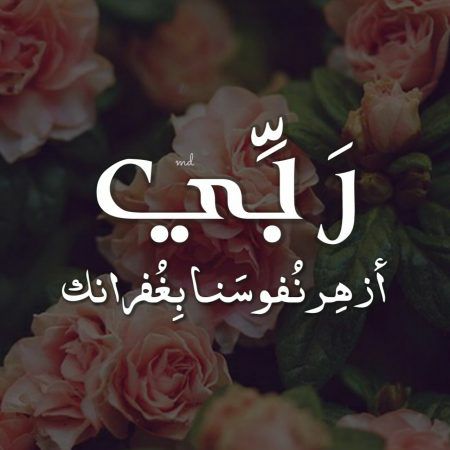 صور منوعه جديده - احدث تشكيلة رمزيات 3318 2