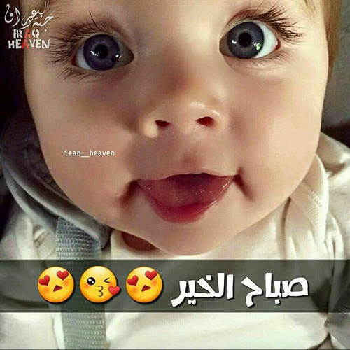 صباح الخير مضحكة - اجمل صور مضحكه لصباح الخير 3077 9