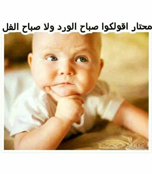 صباح الخير مضحكة - اجمل صور مضحكه لصباح الخير 3077 1