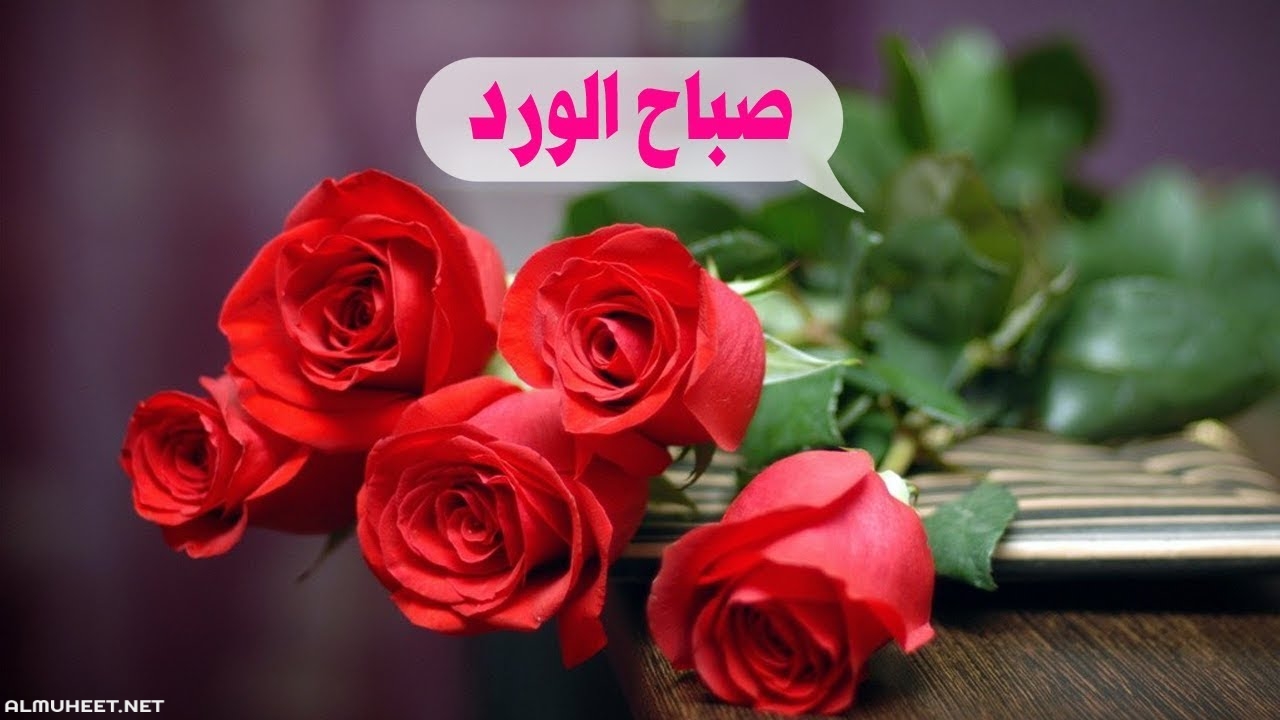 صباح الحب والشوق 5712 1