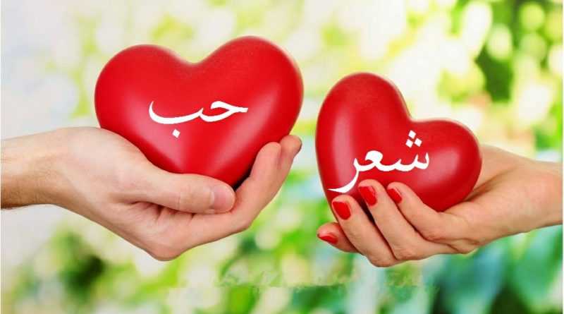 شعر حب قصير - احدي الاشعار يتكلم عن الحب لوصف شعورك لحبيبك 5896