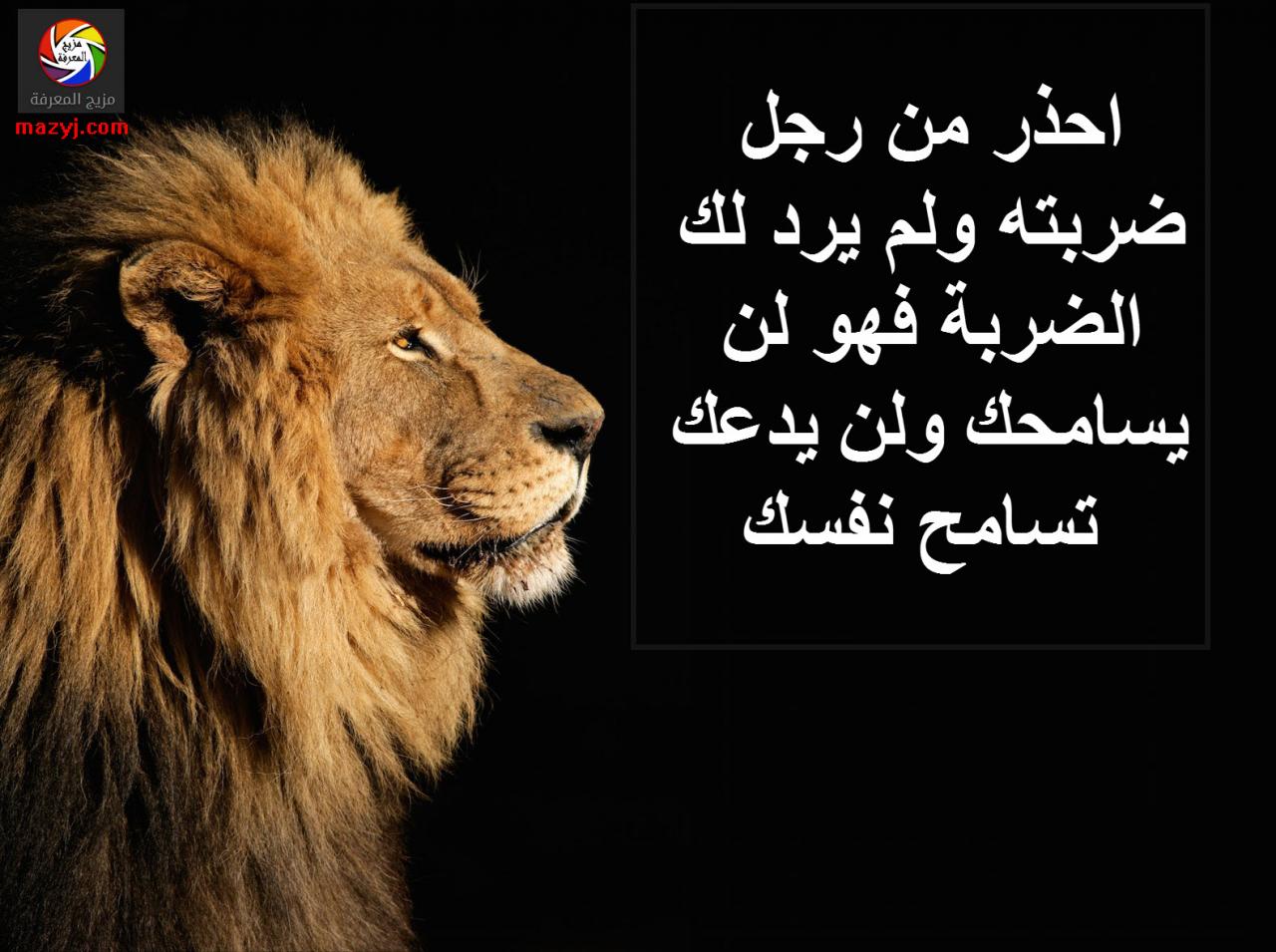 شعر مدح رجل 11482