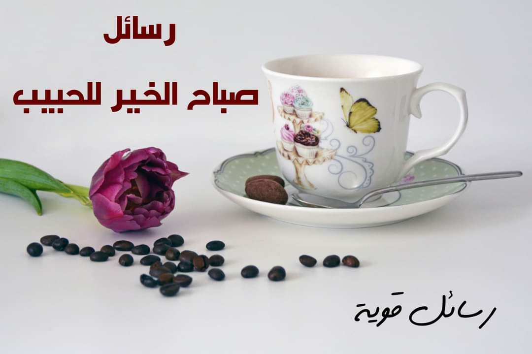 رسالة صباح الخير- اروع الرسائل الصباحيه للحبيبه 855 5