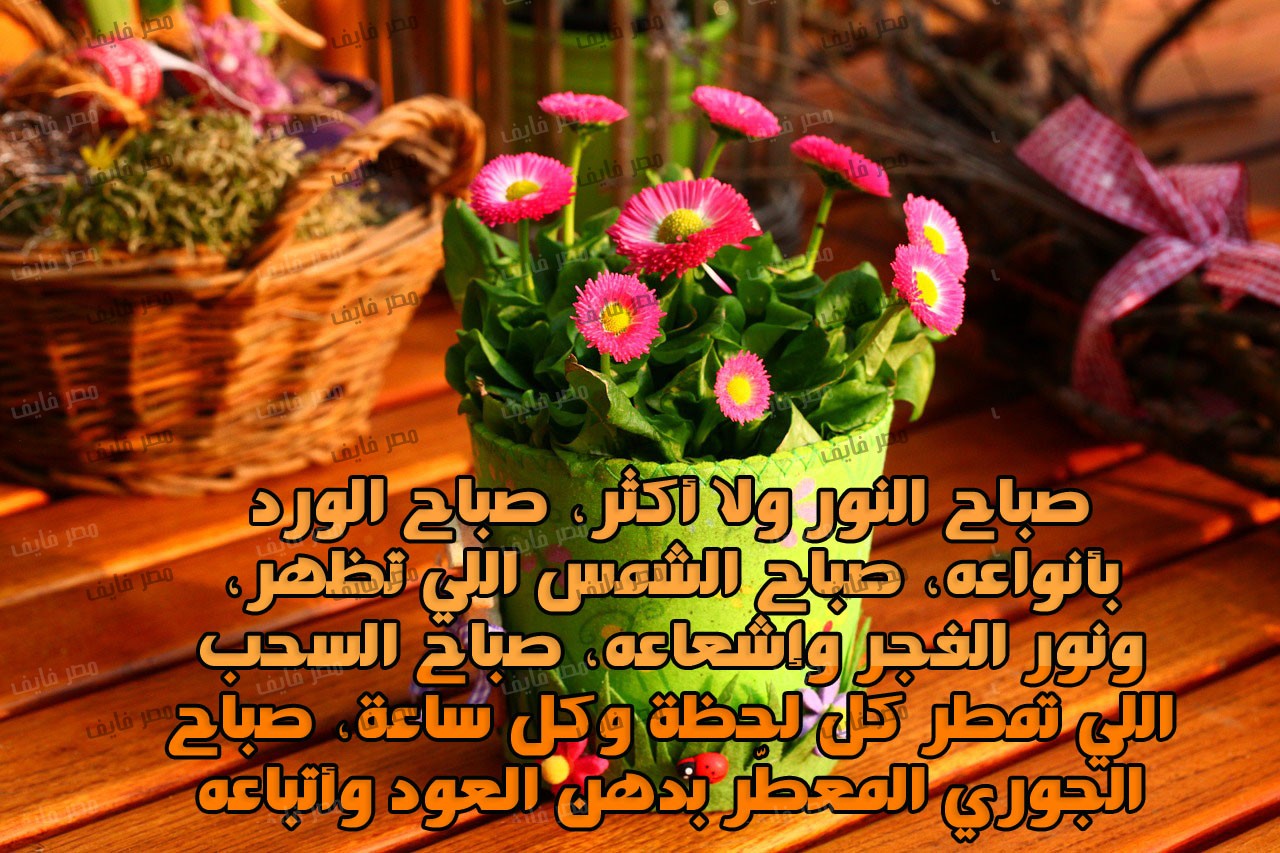 صور عن صباح الخير - اجمل صور الصباح الجميل 2934 6