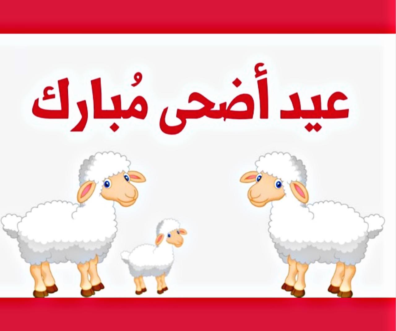 صور عن عيد الضحى , يوم النحر وعيد المسلمين