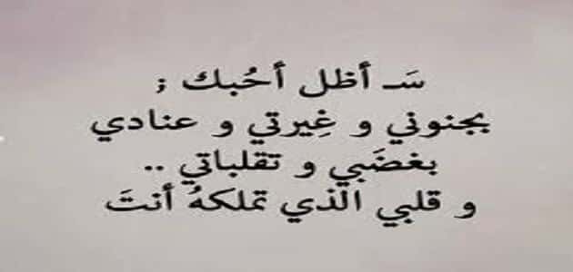 الليلة دي حبيبي بين ايديا اجمل ماقيل عن الحب والعشق 4357 2