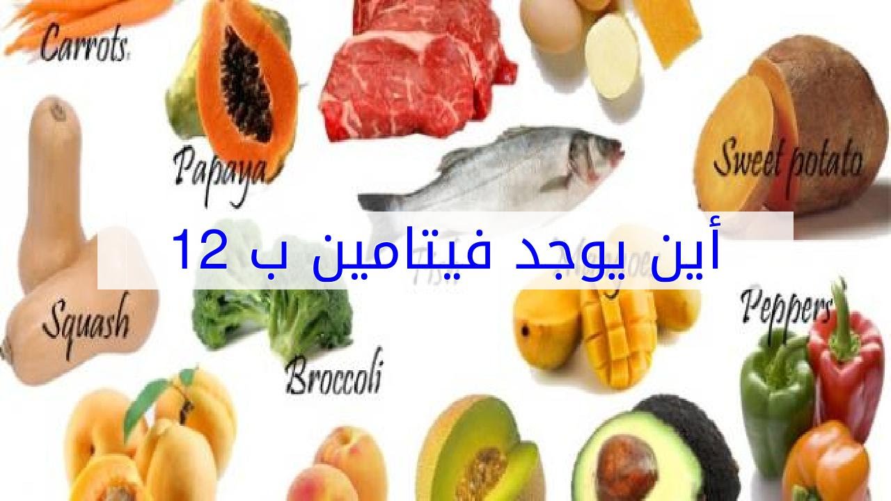 فيتامين ب12-تعرفوا الفيتامين دا فوائده ايه وموجوده فى أكلة ايه 2051 5