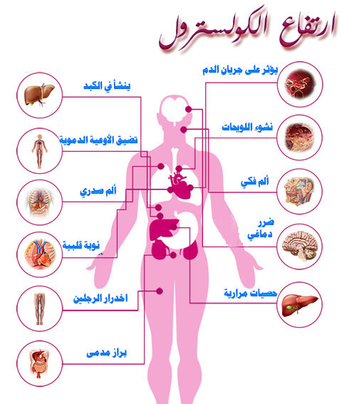 علاج الكولسترول - الوقايه من المرض 5286