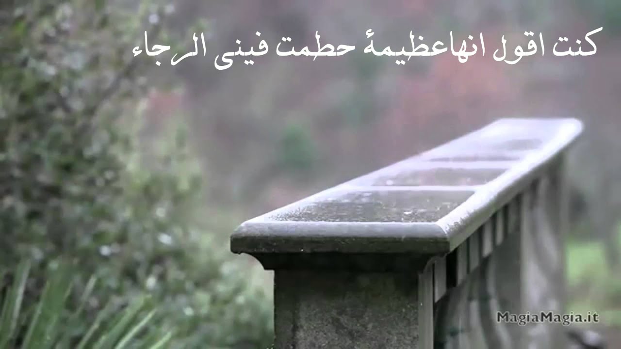 صدق يالدنيا غريبه 5029 6