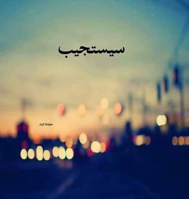 صور للواتس - اجمل صور مميزة للواتس اب 6587