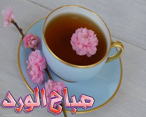 اجمل صور الصباح - ما اروع رائحة الصباح 4393 7