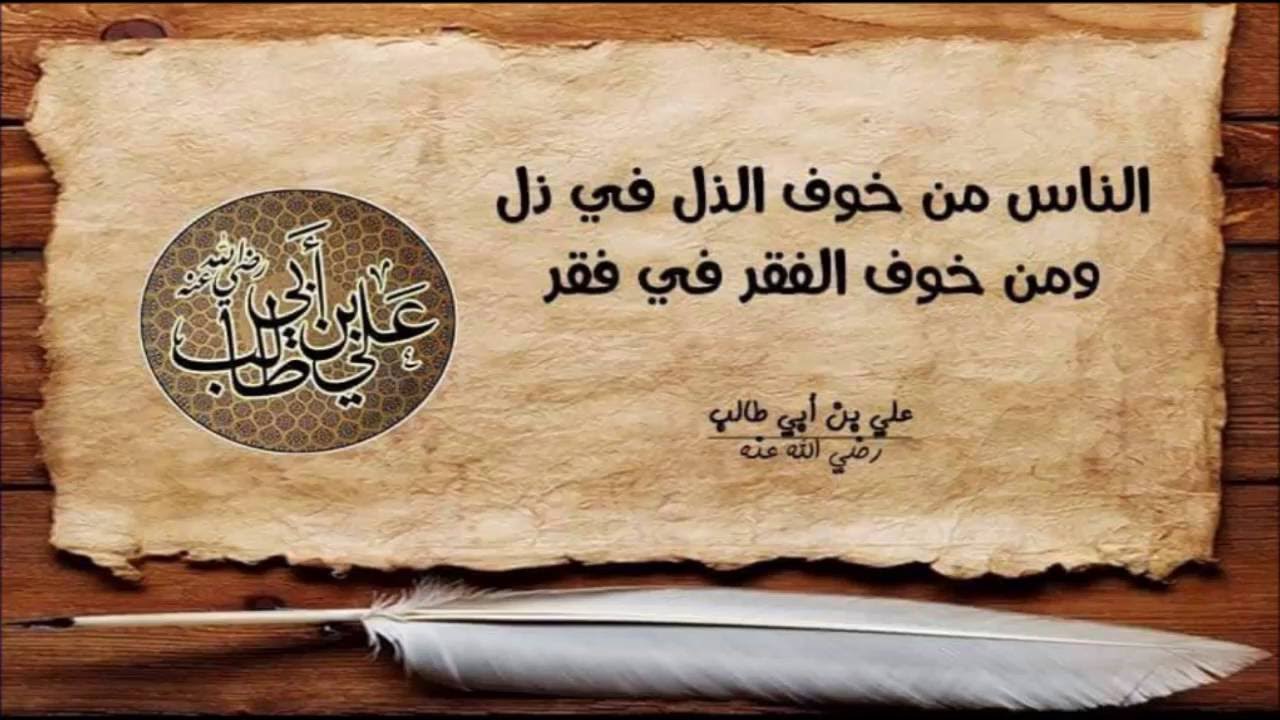 حكم مفيدة - اقوال من الحياة هامة 5572 12