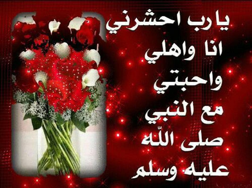 تهاني عيد المولد النبوي 11290 4