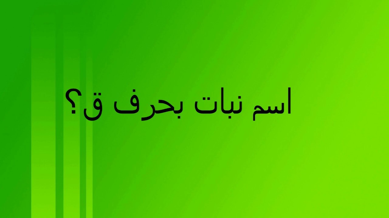 اسماء بحرف ق , اسماء في منتهى الروعه