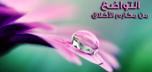 صور عن التواضع - من تواضع لله رفعه 3697 7