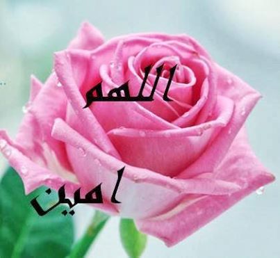 صور اللهم امين - رمزيات اللهم امين 3361 8