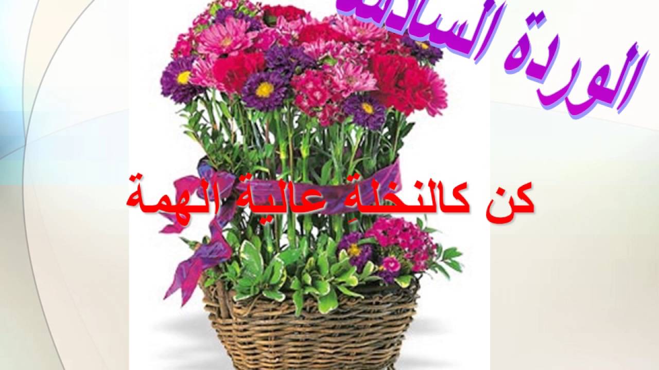 زهور الكلمات 4502 4