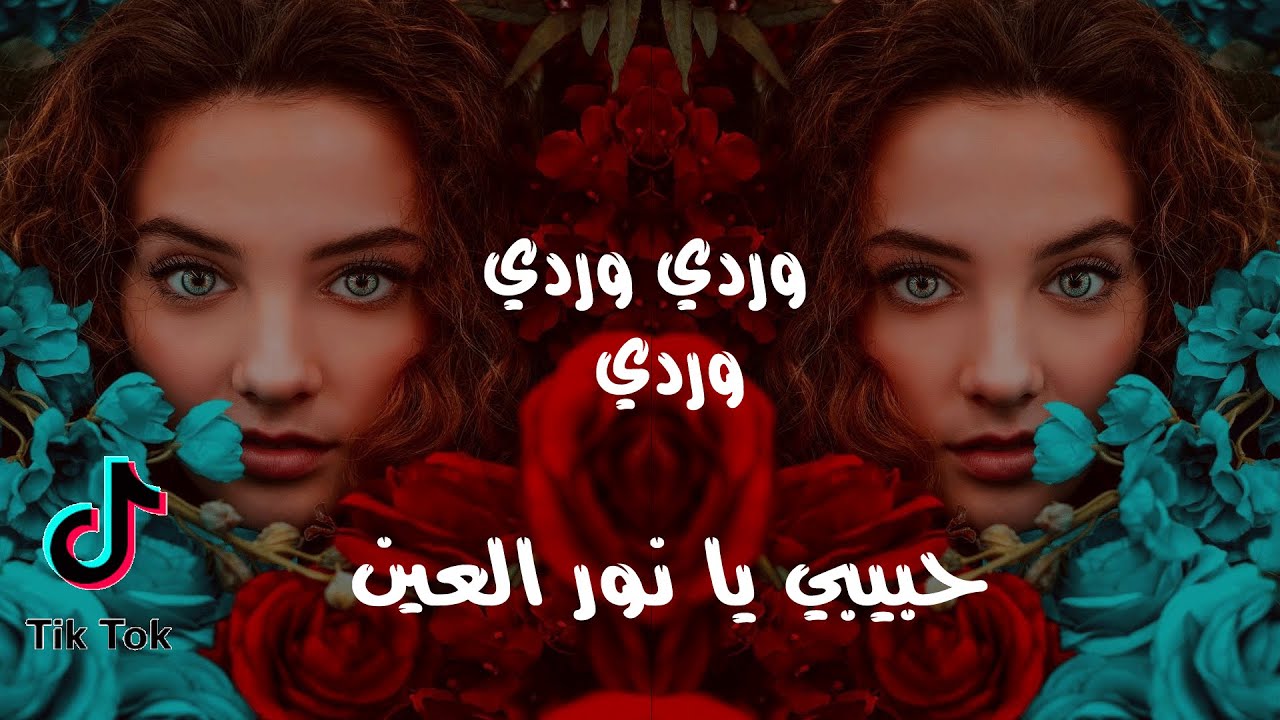 حبيبى يانور العين 11541 7