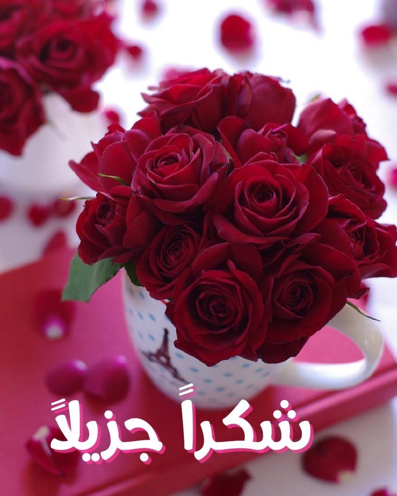 شعر شكرا لك 11775 4