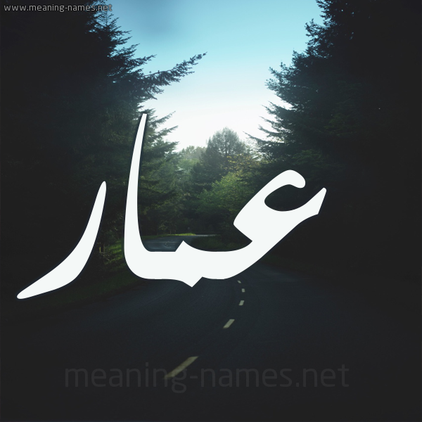 صور اسم عمار - معني اسم عمار واول من سمي به 6166 3