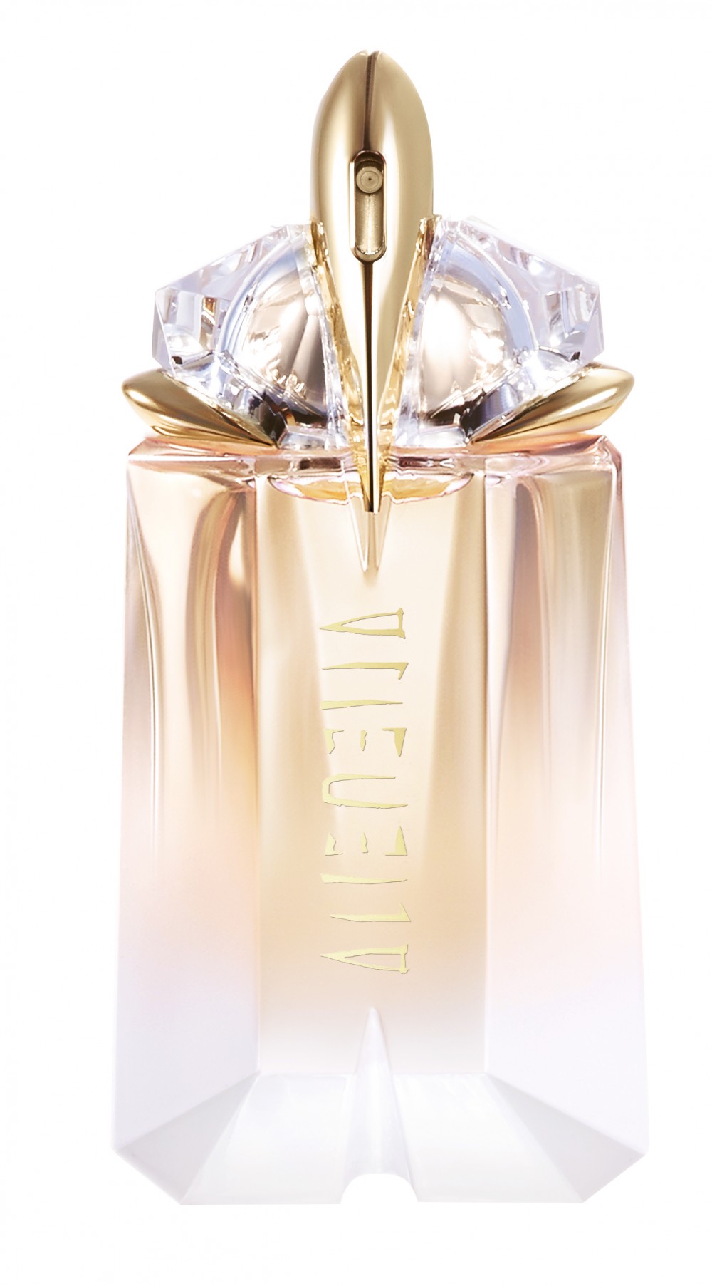 عطر الين - كل المعلومات التي تودين معرفتها عن عطور الين 3748 3