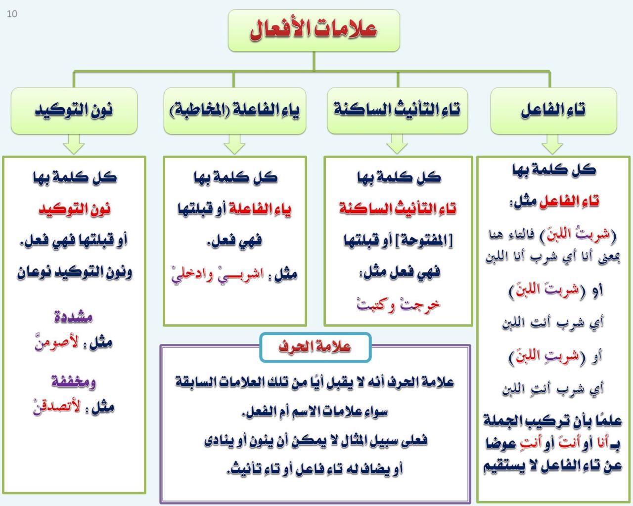 علامات الاسم والفعل والحرف - ما هي علامات الجمله 12318 1