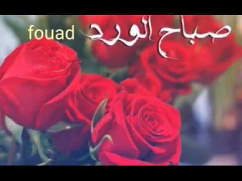 صباح الورد حبيبي - رقه الصباح بين الاحبه 6124 1