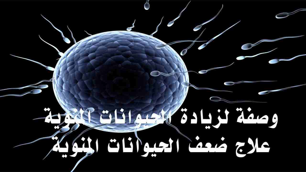 علاج ضعف الحيوانات عند الرجال بالاعشاب- مشكله عند اغلب الرجال 11221 3