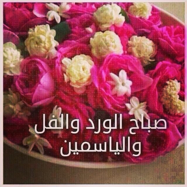 صور صباح الفل - كلمات رقيقه للصباح 5318 3